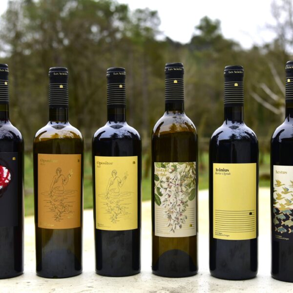 gama-vinos-2-copia-2